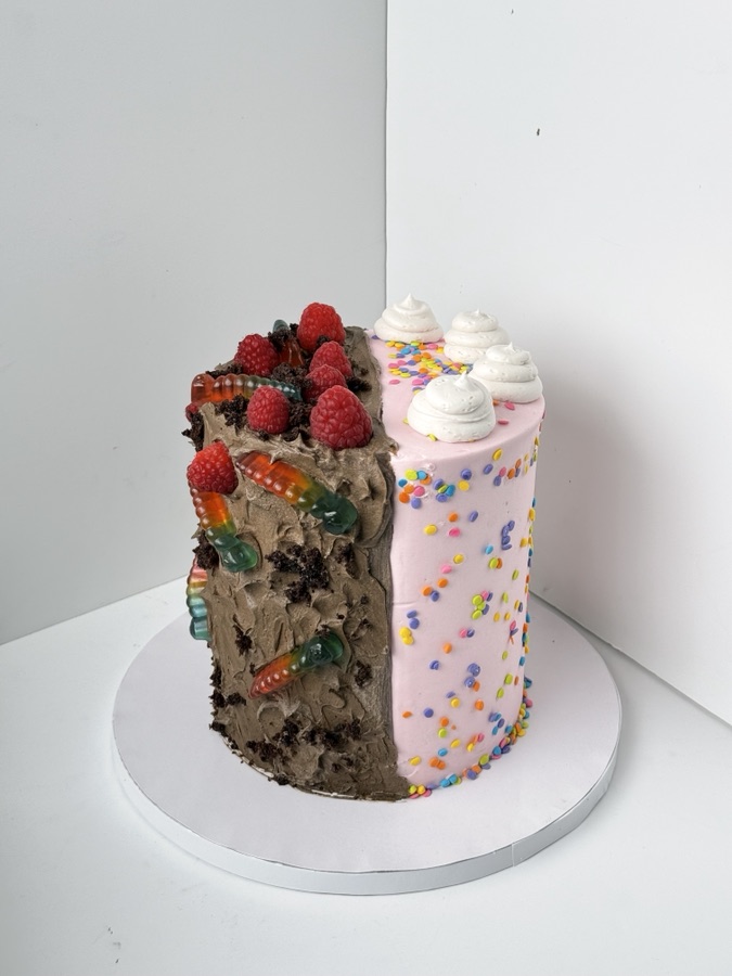 Miscellaneous Cake 12